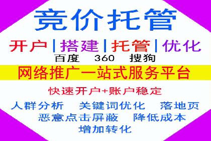 SEM广告创意与执行：成功案例分享